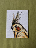 Zazu’s Sketch