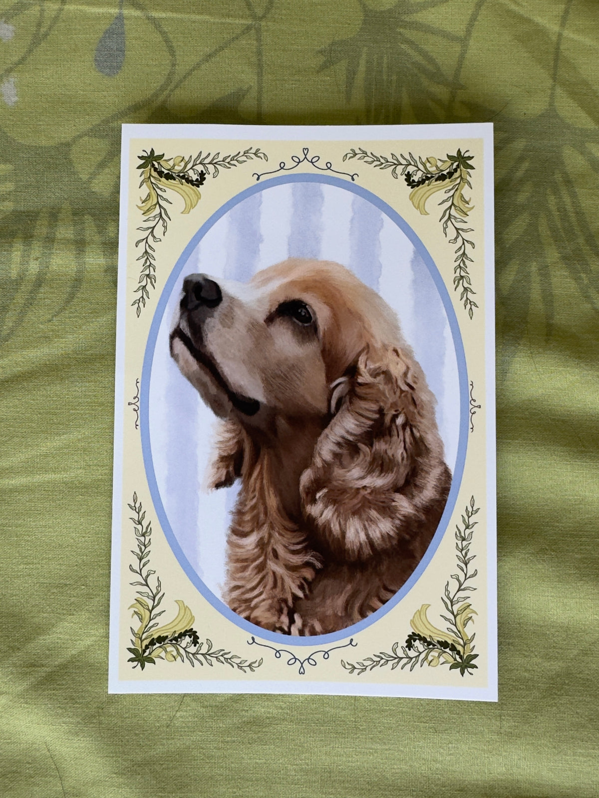 Petzi’s Portrait