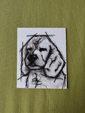 Petzi’s Sketch