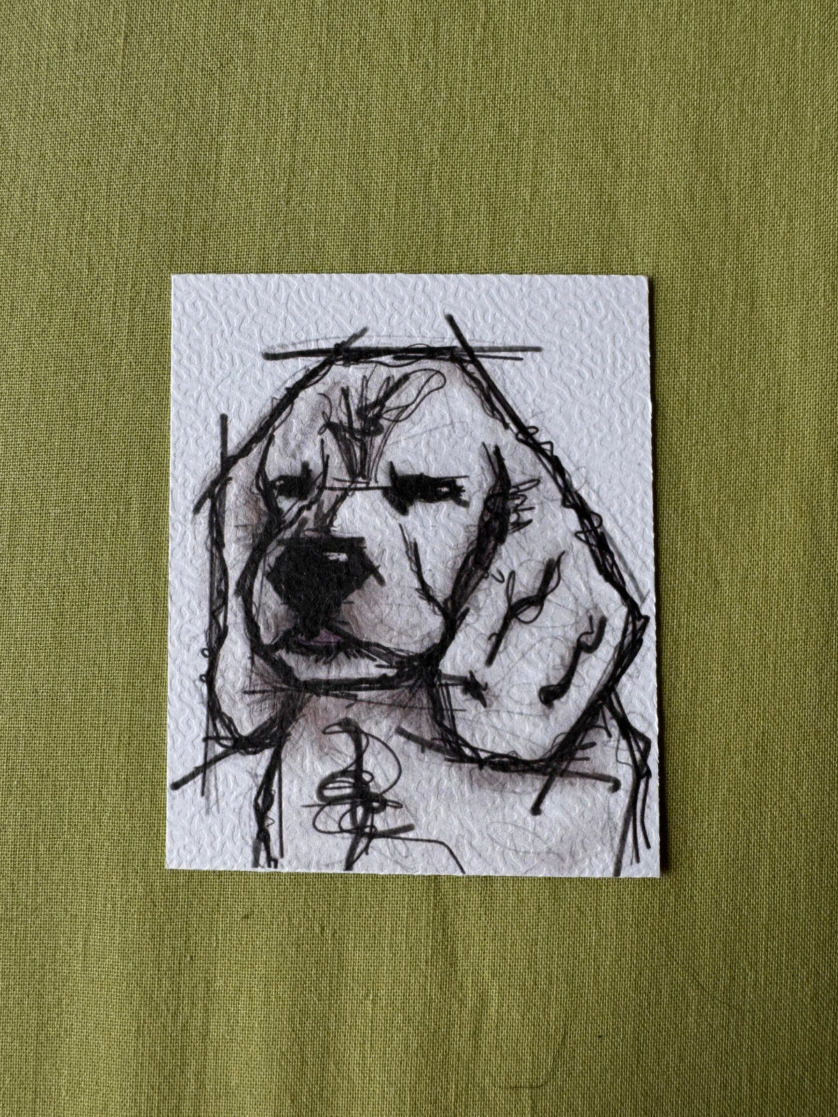 Petzi’s Sketch