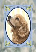 ✿ Blue Wild Vine Frame✿ Hand-Illustrated Personalized Pet Portrait